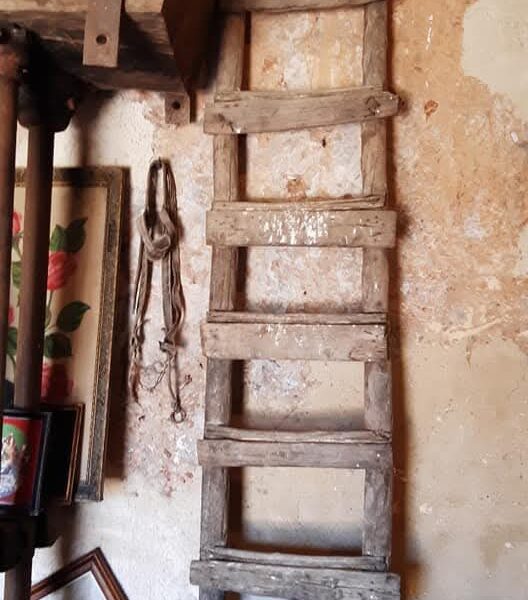 ΦΑΜΠΡΚΑ ΤΗΣ ΟΙΚΟΓΕΝΕΙΑΣ ΝΤΑΜΑΔΑΚΗ